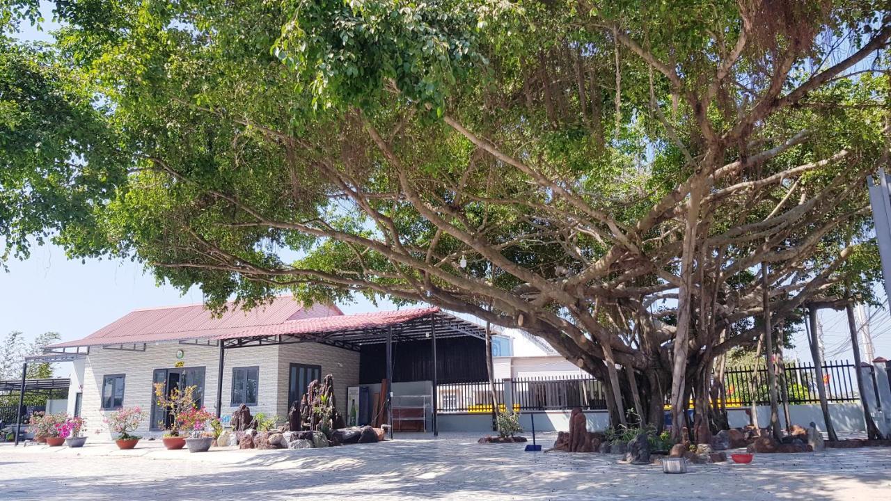 Homestay Thao Nguyen Xanh Lang Van Ke Exteriör bild